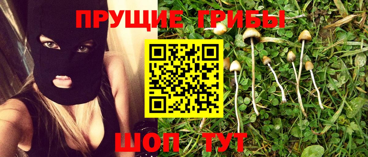 Галлюциногенные грибы GOLDEN TEACHER  Вход с VPN  где купить наркотик  Краснокаменск 